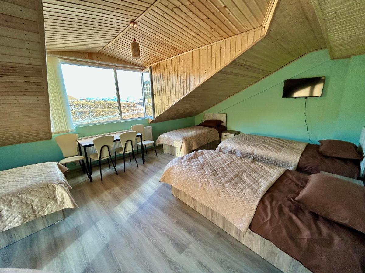 Dandelion Hotel Gudauri Ganisi Екстериор снимка