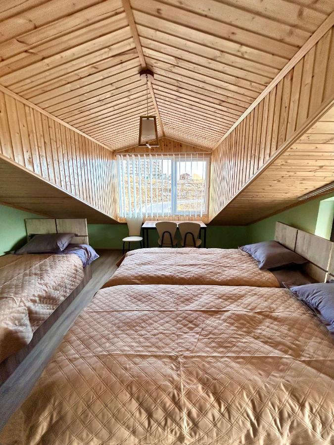 Dandelion Hotel Gudauri Ganisi Екстериор снимка